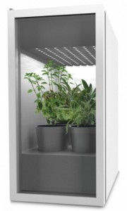 Estufa Doméstica Plantário