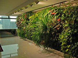 Como fazer jardim vertical