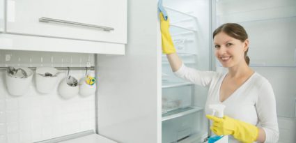 Manutenção e conservação da geladeira