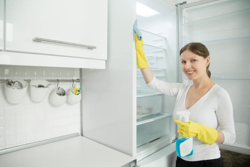 Manutenção e conservação da geladeira