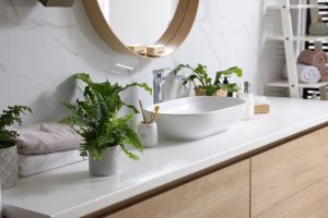 plantas e decoração no banheiro