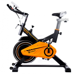 bicicleta ergométrica gallant