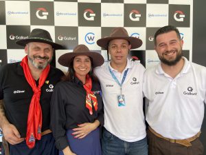 expointer-gallant-peças-equipe