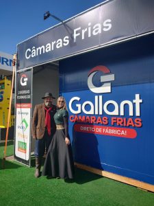 expointer-gallant-webcontinental-peças