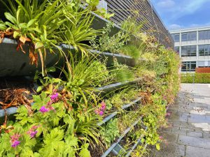 jardim vertical com plantas e flores