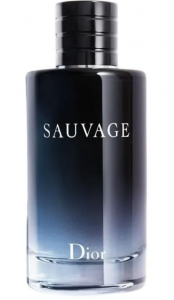 Perfume Dior Masculino Sauvage Eau De Toilette - 100ml